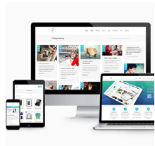 企業(yè)建站CMS網(wǎng)站開(kāi)發(fā)